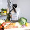HALLDE RG-100 VEGE PREP SINGLE PHASE NO BLADES - Image 2