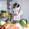 HALLDE RG-250 VEGE PREP SINGLE PHASE NO BLADES - Image 2
