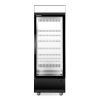 SKOPE EZICORE BCE600N SINGLE DOOR VERTICAL FRIDGE 740MM